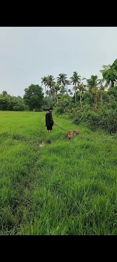 Dragster Homes Kizhake Chalakudi